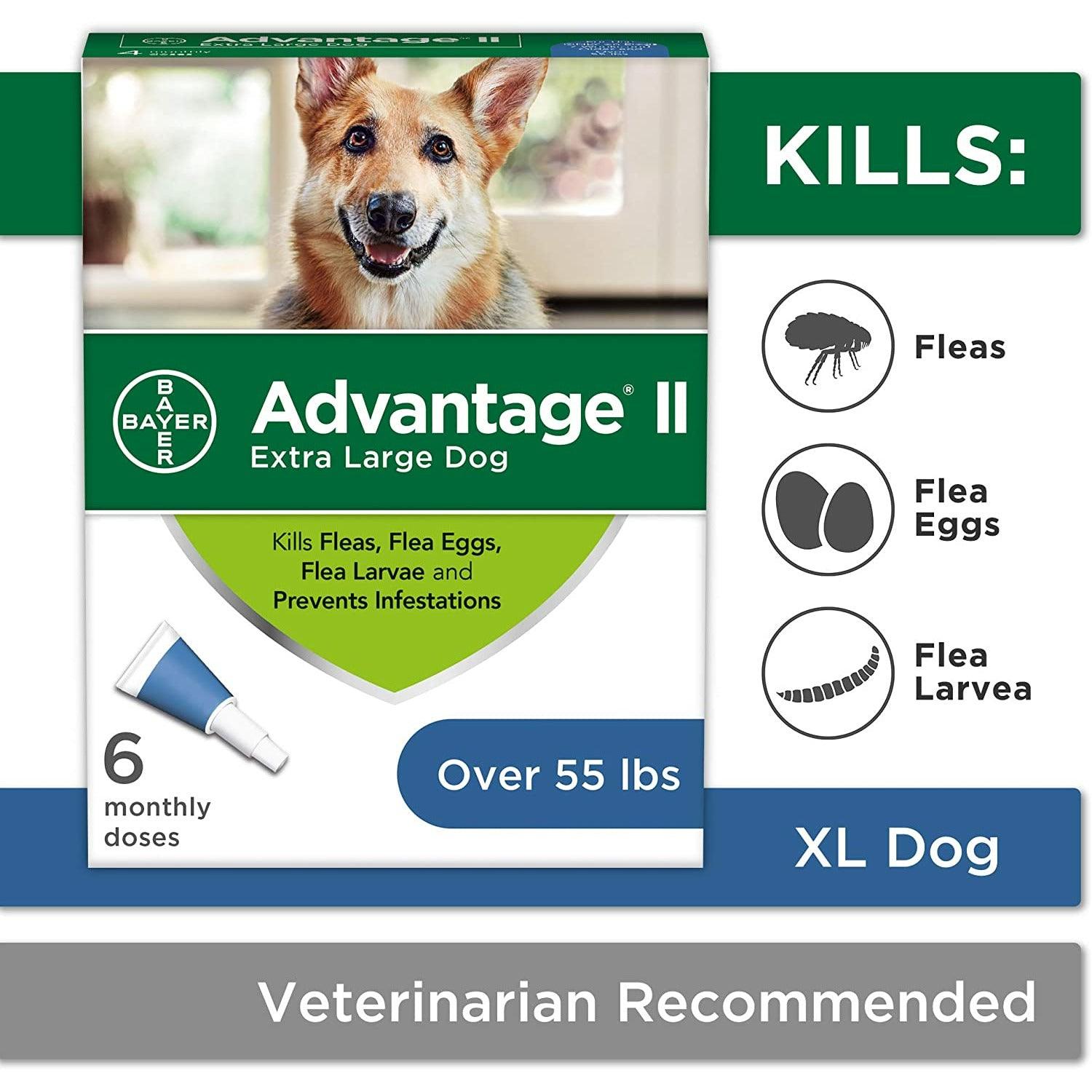 Advantage II For X-Large Dogs - 25Kg+ / 4 Pack - Flea & Tick Topical Applications - Advantage - PetMax Canada