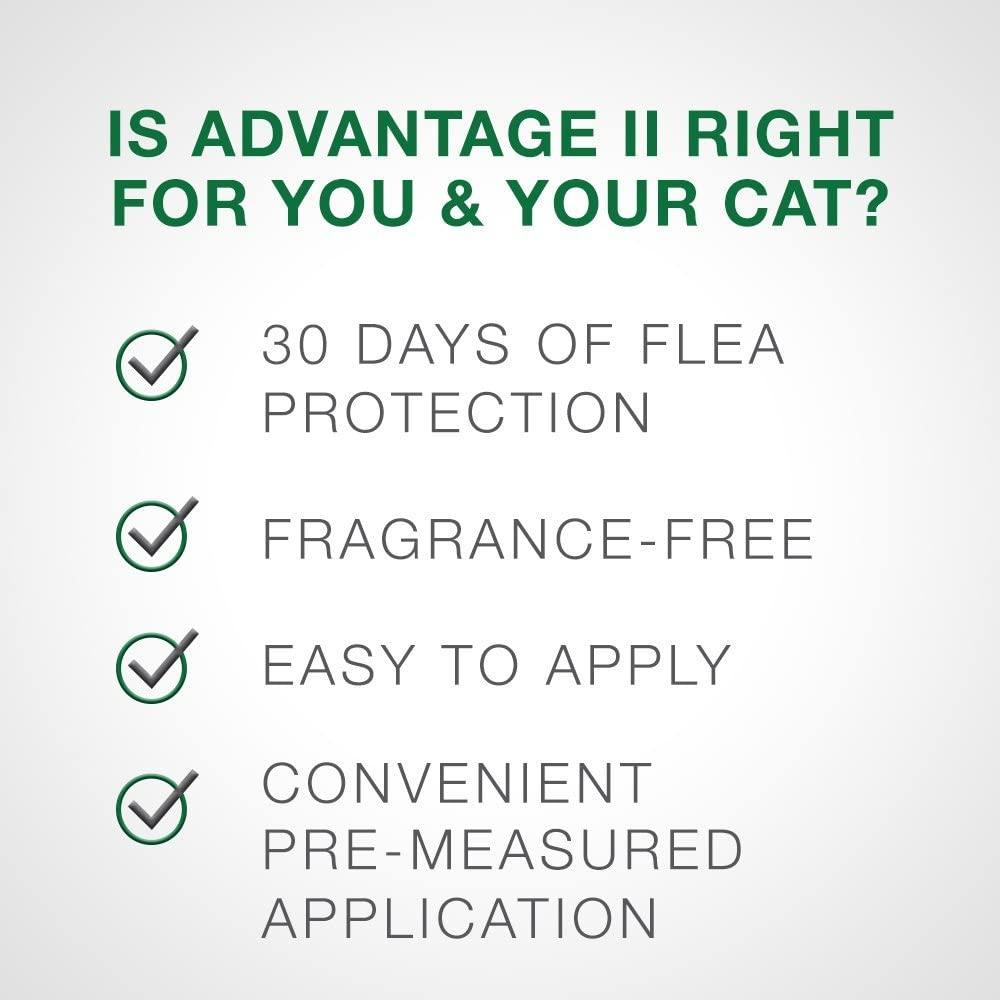 Advantage II For Small Cats - 2.4Kg - 4Kg / 4 Pack - Flea & Tick - Advantage - PetMax Canada