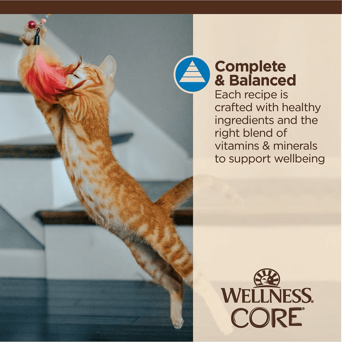 Wellness CORE Tiny Tasters Flaked Tuna & Shrimp in Sauce Wet Cat Food - 50g - Canned Cat Food - Wellness - PetMax Canada