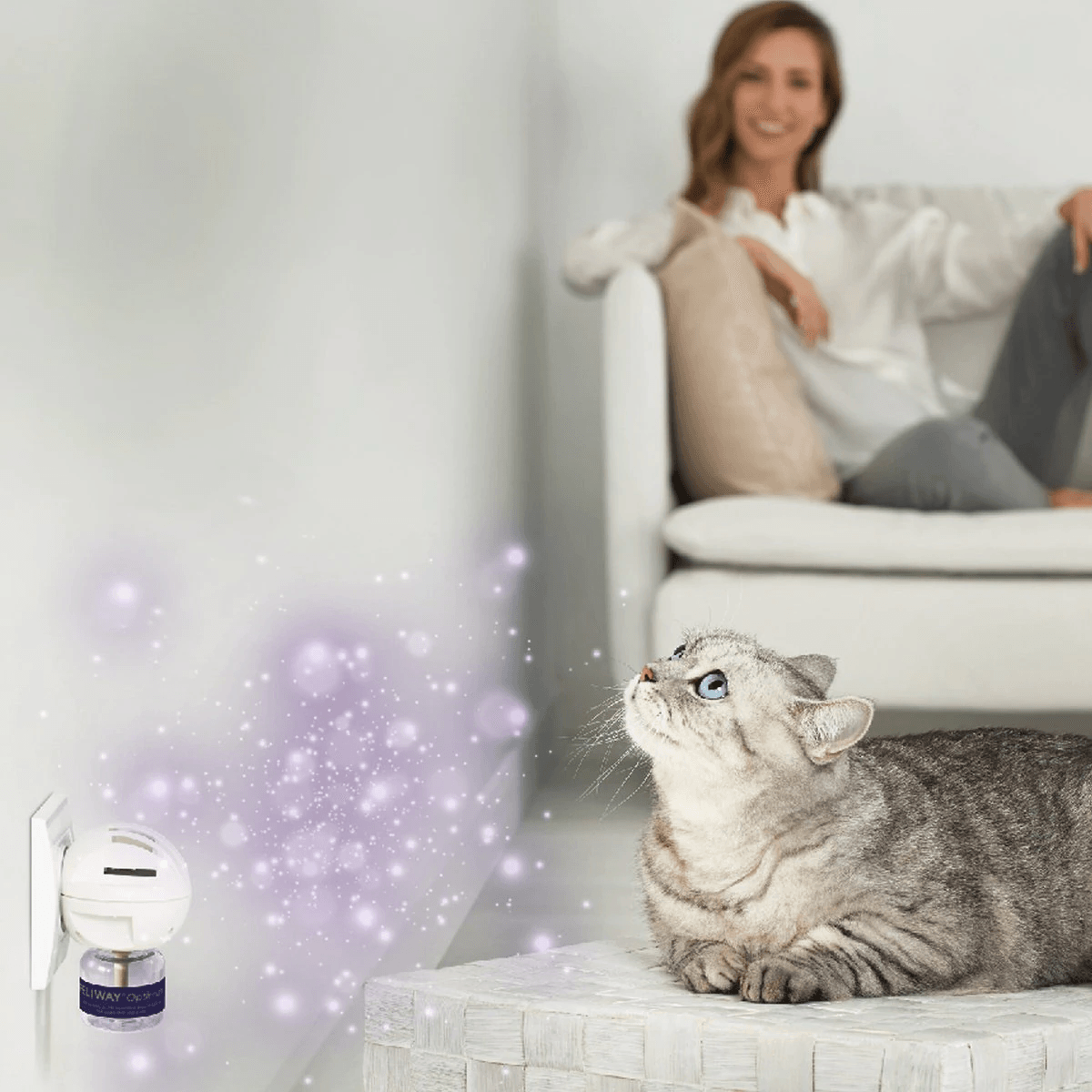 Feliway Optimum Enhanced Calming Pheromone 30 Day Cat Diffuser Refill - Default Title - Cat Health Care - Feliway - PetMax Canada