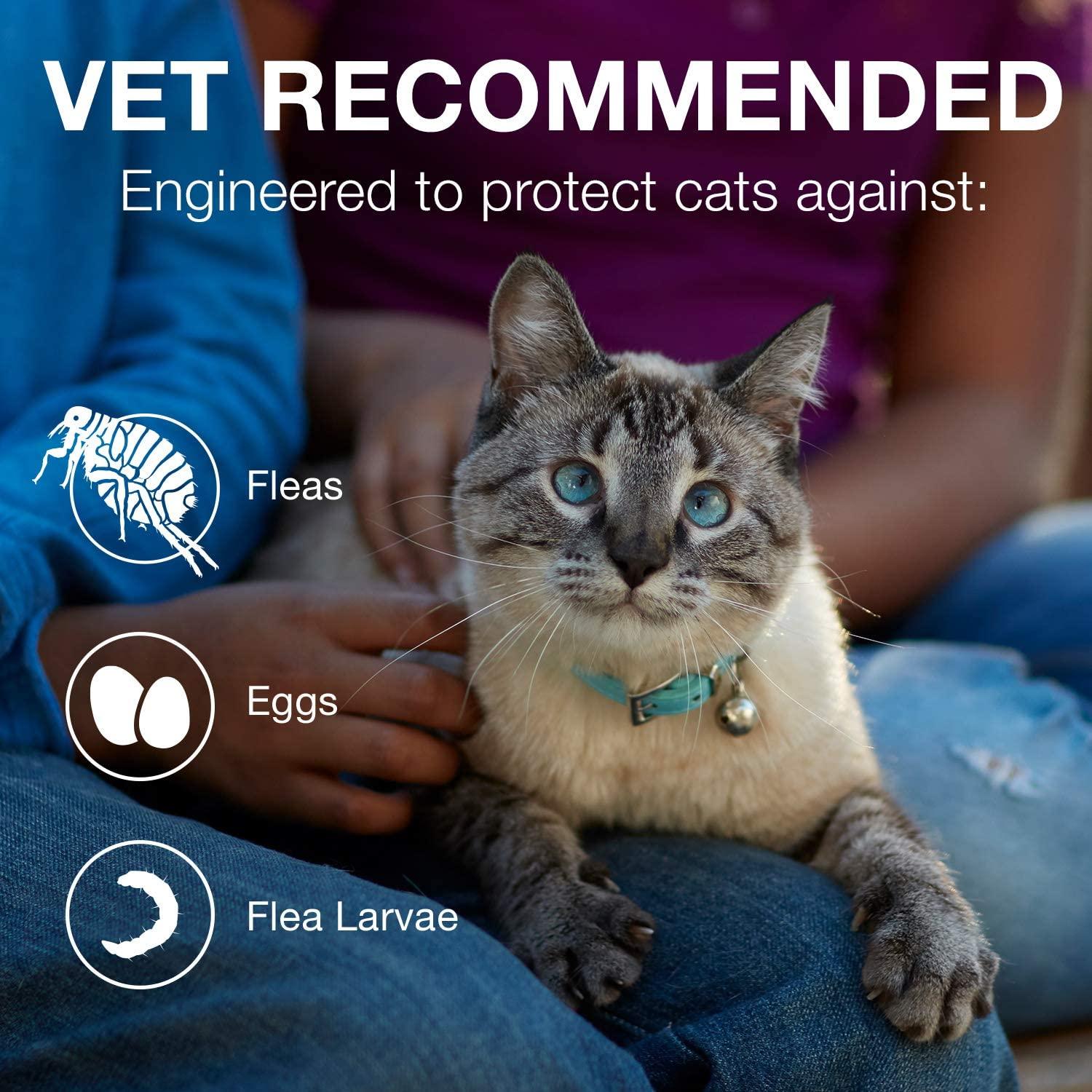 Advantage II For Kittens - Under 2.3Kg / 4 Pack - Flea & Tick - Advantage - PetMax Canada