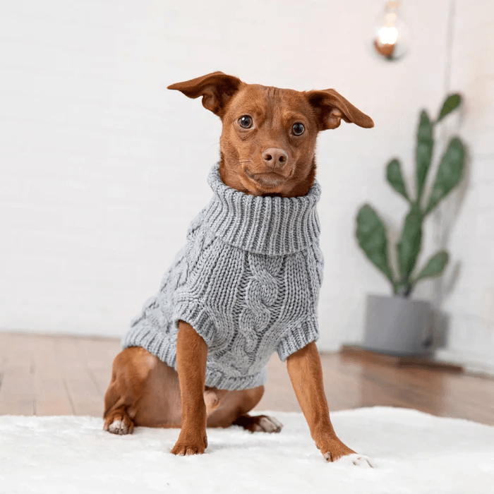 GF Pet Chalet Sweater Grey For Dogs - XX-Small - Sweaters - GF Pet - PetMax Canada