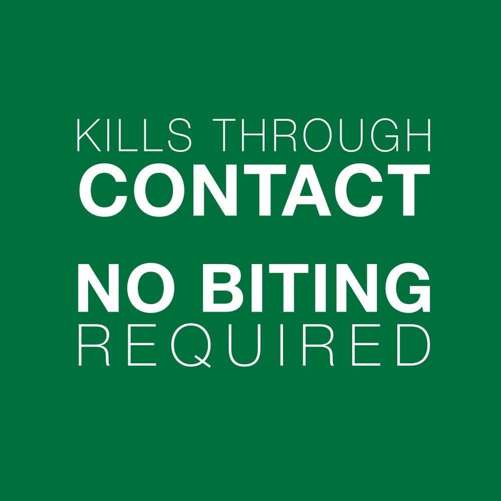 Advantage II For Small Cats - 2.4Kg - 4Kg / 4 Pack - Flea & Tick - Advantage - PetMax Canada