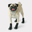 GF Pet Elastofit Boots For Dogs  Boots  | PetMax Canada