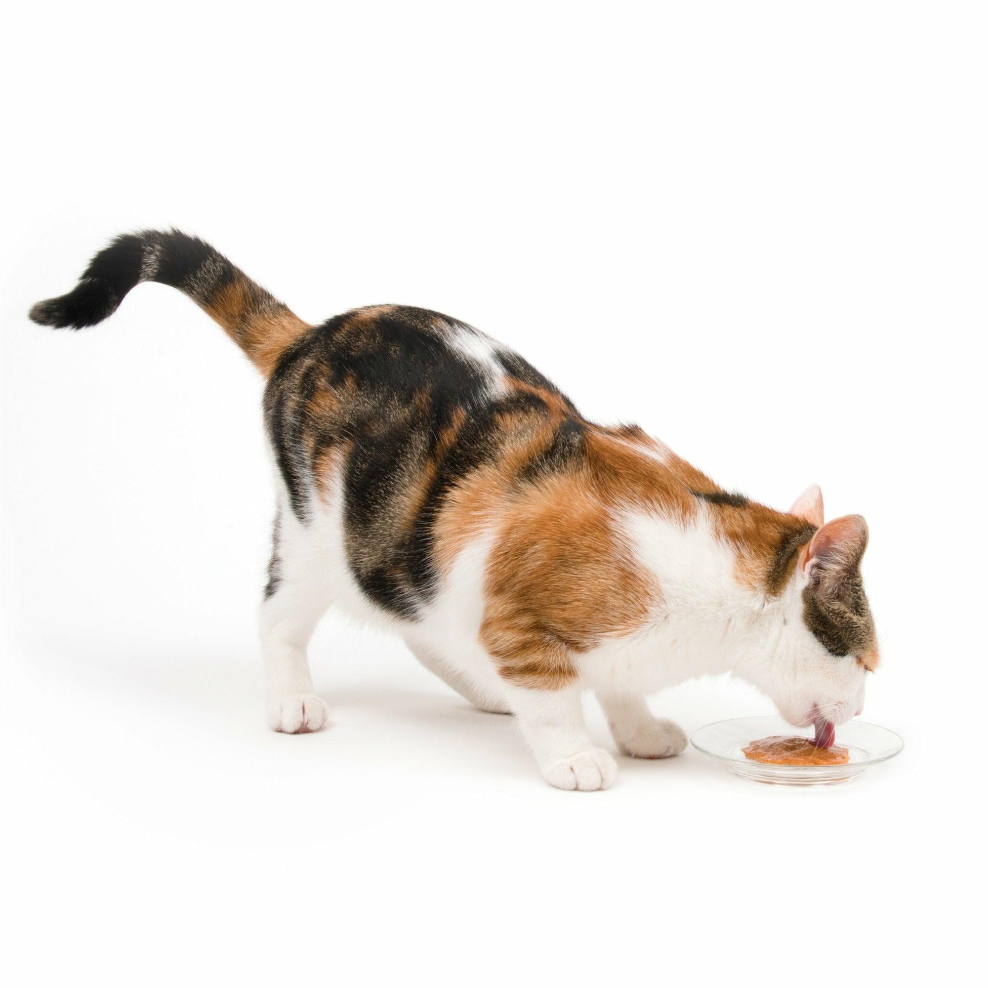 CatIt Creamy Lickable Treats Chicken & Shrimp - 5 Pack - Cat Treats - Catit - PetMax Canada