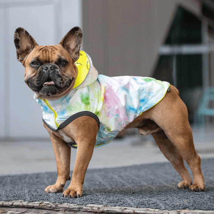 GF Pet Reversible Raincoat Neon Yellow For Dogs - X-Small - Coats - GF Pet - PetMax Canada