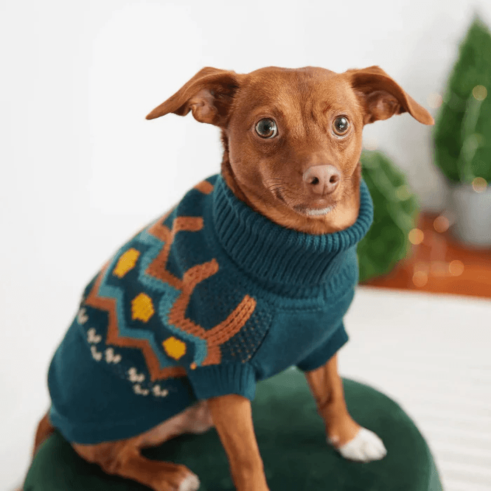 GF Pet Heritage Sweater Teal For Dogs - X-Small - Sweaters - GF Pet - PetMax Canada