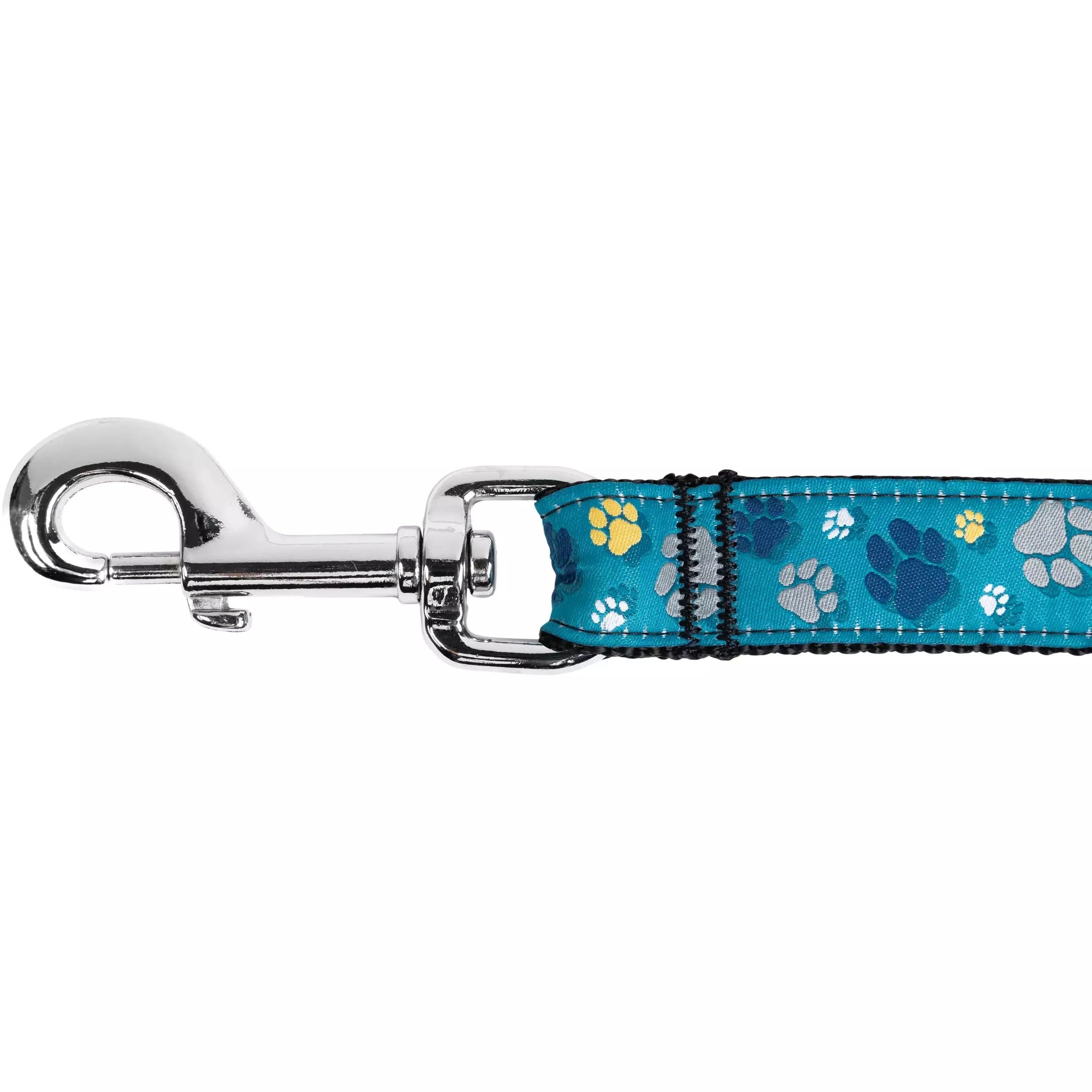 RC Dog Leash Deco - 3/4" x 6' - Leashes - RC Pet Products - PetMax Canada