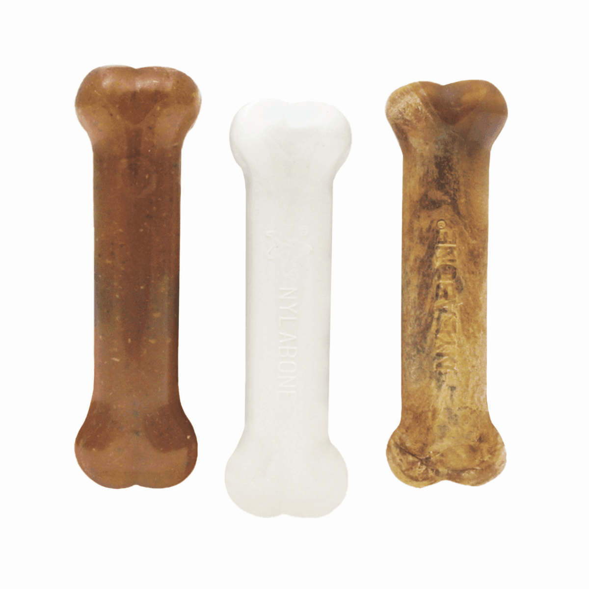 Nylabone Puppy Starter Kit - Regular - Nylon - Nylabone - PetMax Canada