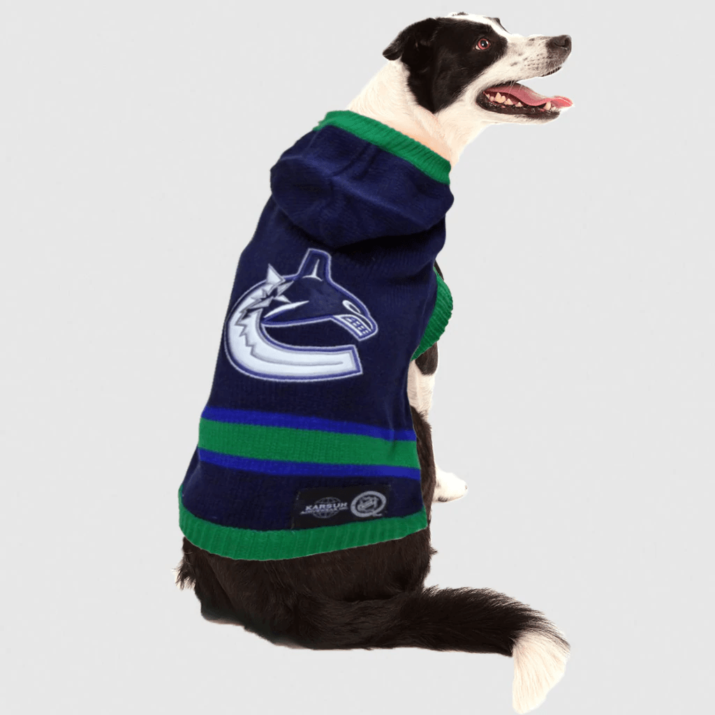 Canucks pet jersey shop