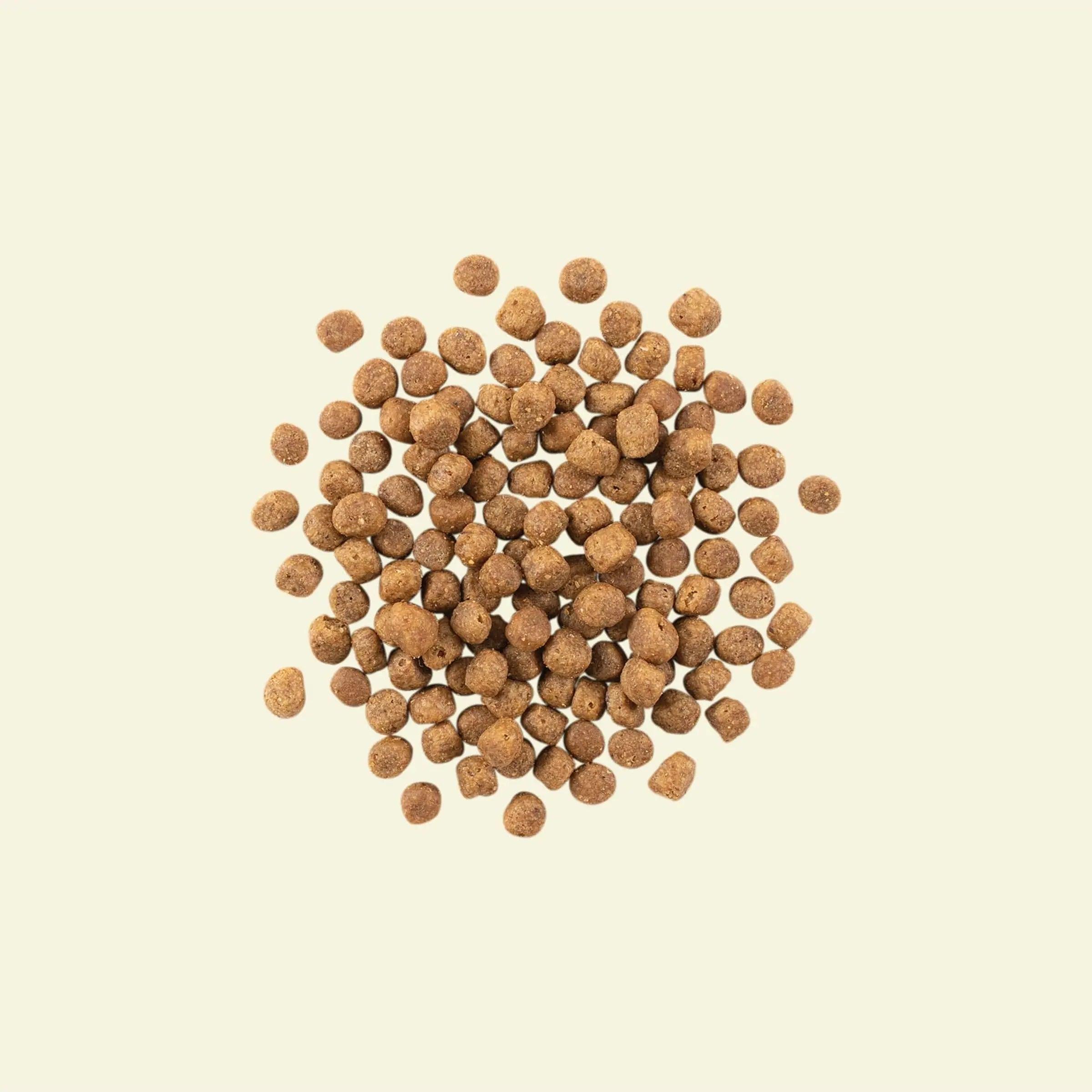 Now Fresh Grain Free Fish Recipe With Trout, Salmon, & Herring for Adult Cats - 1.36 Kg - Cat Food - Now Fresh - PetMax Canada