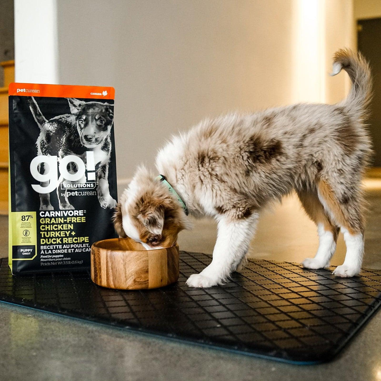 GO! CARNIVORE Grain Free Chicken, Turkey + Duck Puppy Recipe for dogs - 1.59 Kg - Dog Food - Go! - PetMax Canada