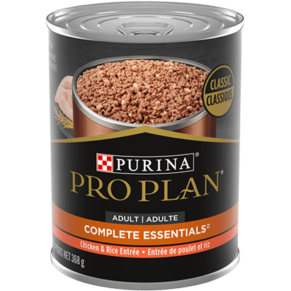 Is purina wet food good for dogs clearance