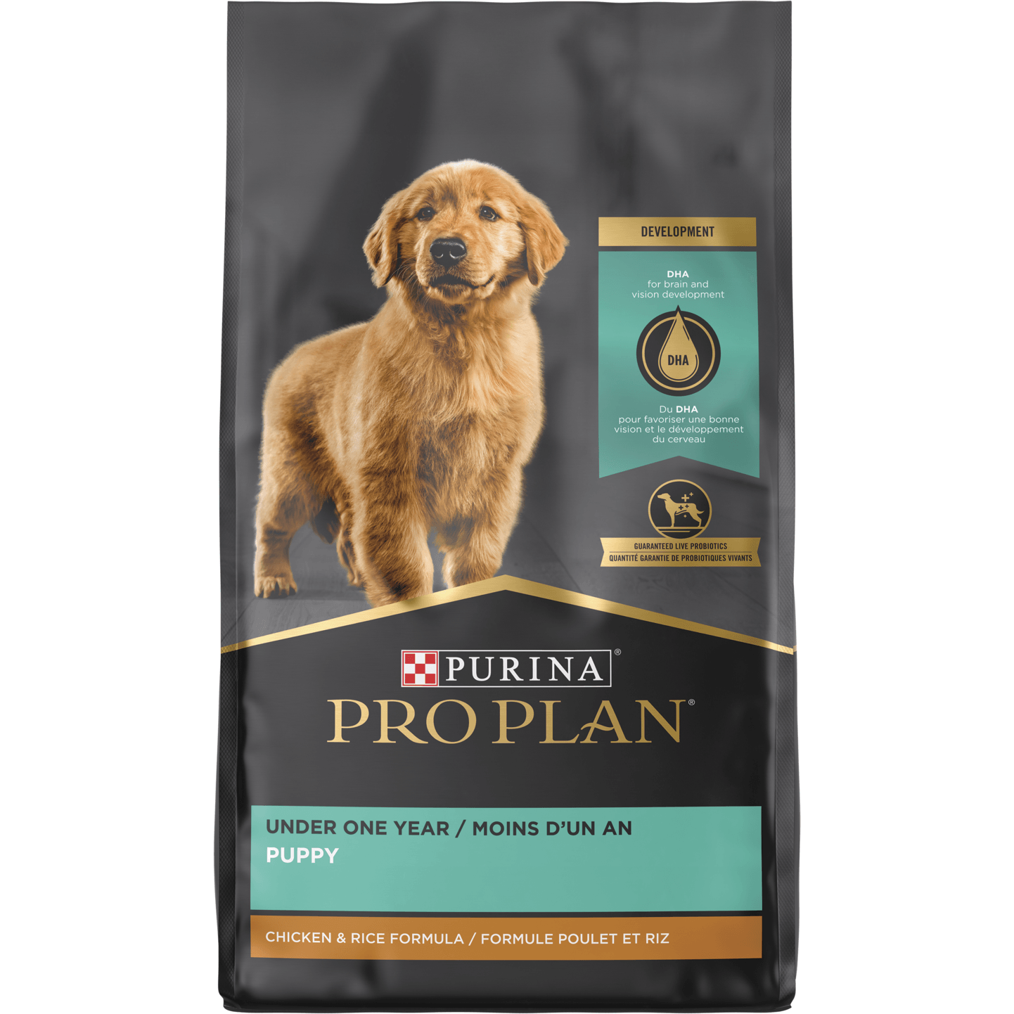 Purina pro plan focus chicken & rice formula dry puppy food online