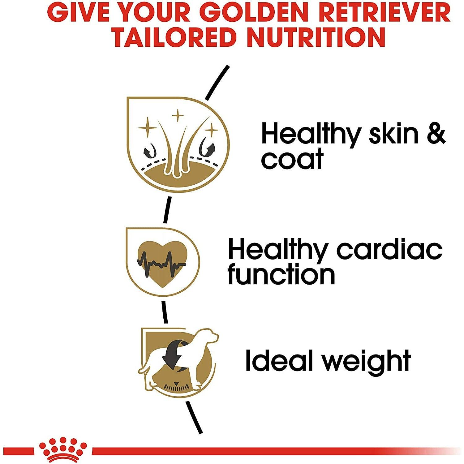 Royal Canin Golden Retriever Adult Dry Dog Food - 13.6 Kg - Dog Food - Royal Canin - PetMax Canada