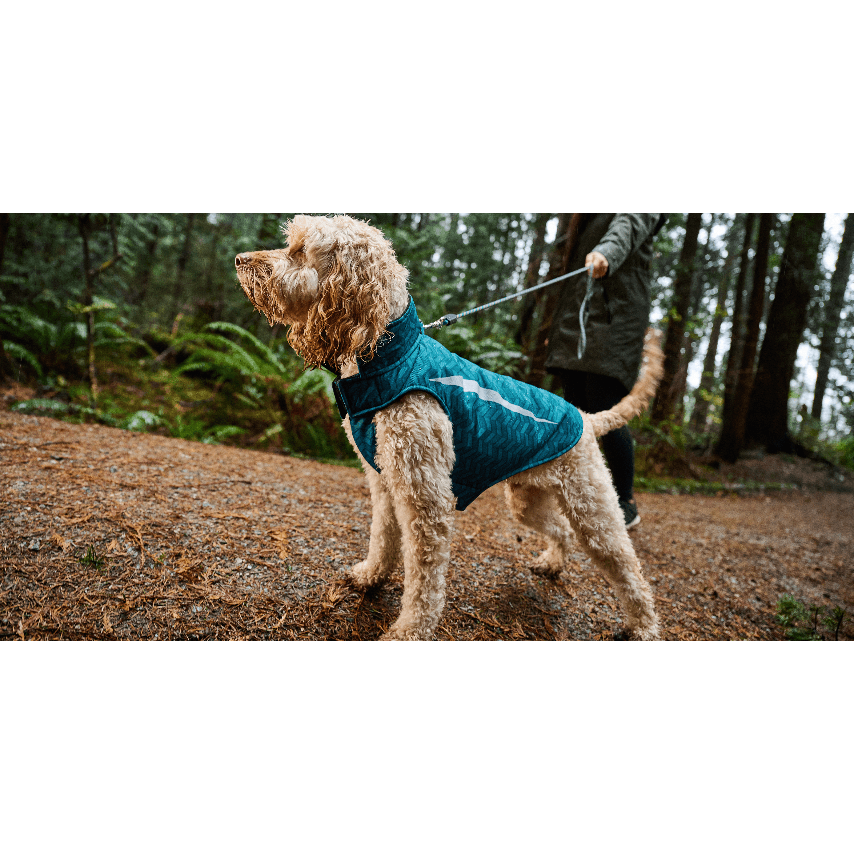 RC Dog Coat Shasta Dark Teal Chevron - 10" - Coats - RC Pet Products - PetMax Canada
