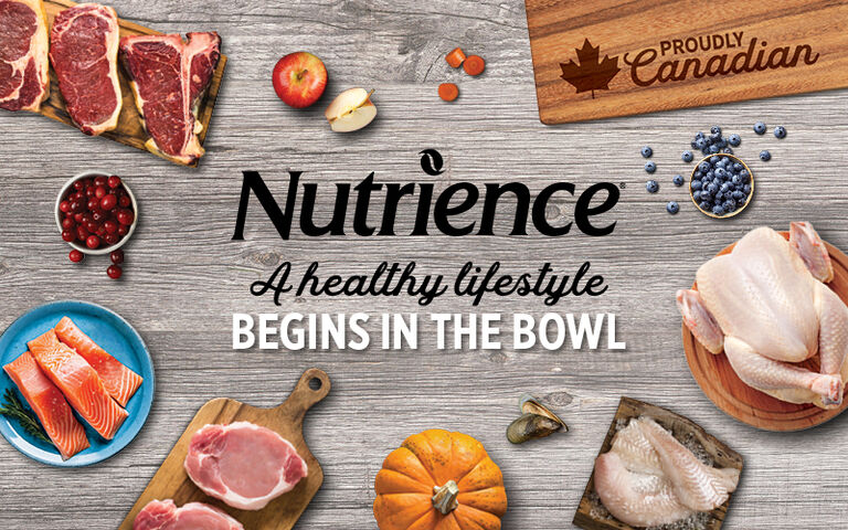Nutrience Explained: Canadian-Made Food for Dogs & Cats, Line by Line (2026 Guide)