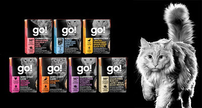 Go Tetra Paks Wet Dog and Cat Food Packaging: Convenient and Eco-Friendly Option for Pet Parents