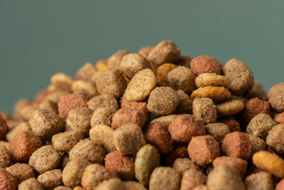 Mountain of high-quality dry dog kibble for healthy and happy pets.