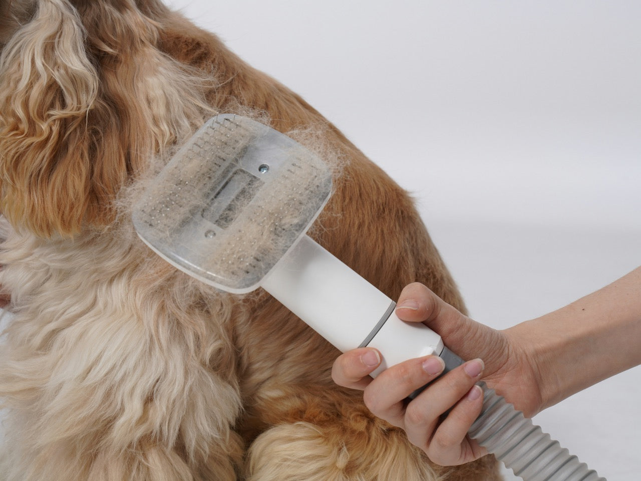 Spring Shedding Survival Guide: Best Deshedding Tools for Canadian Dogs & Cats (2026)
