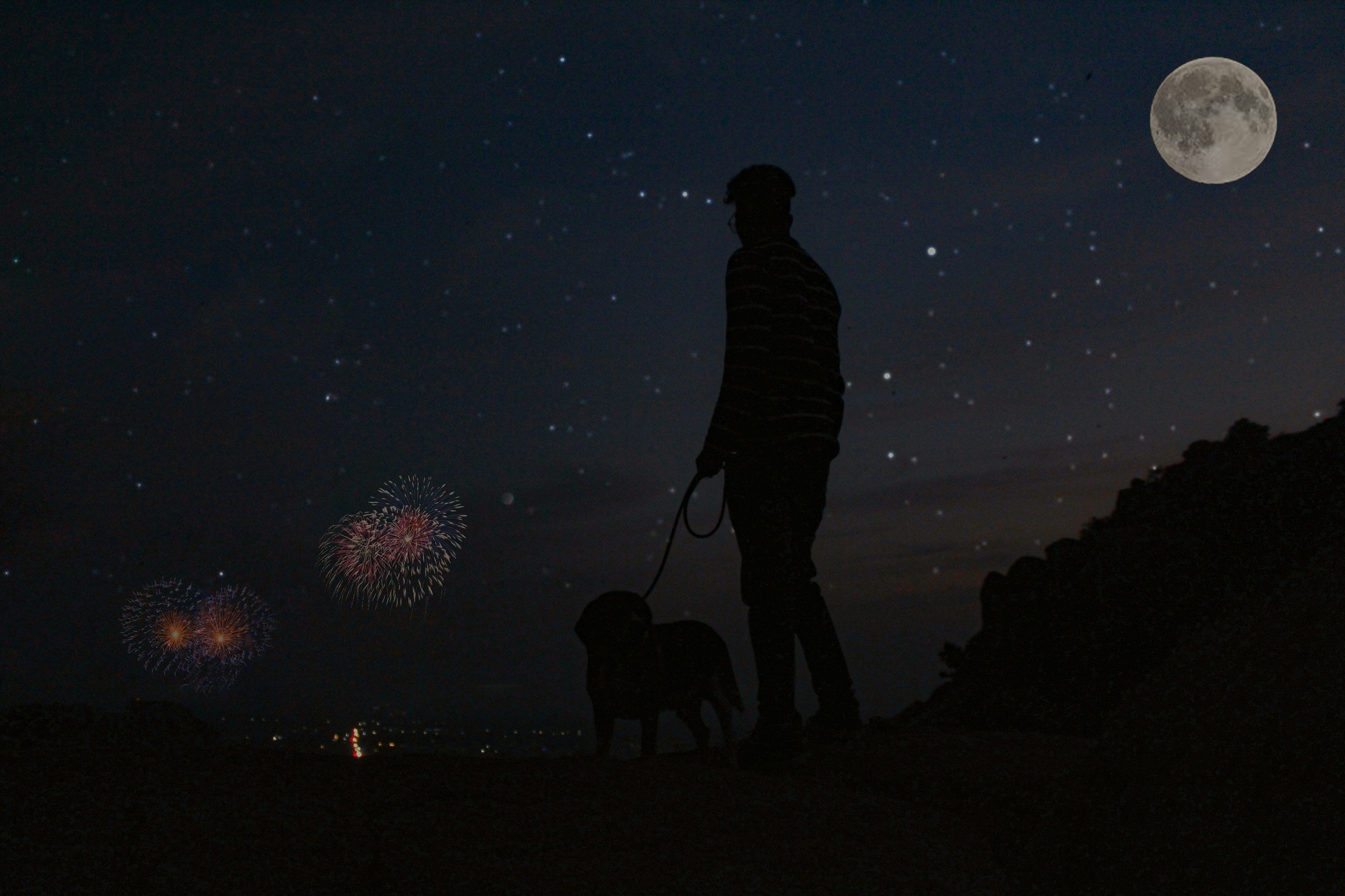 Keeping Pets Calm Through Canada Day Fireworks (2026 Guide)