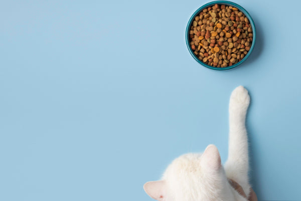 Dry Cat Food