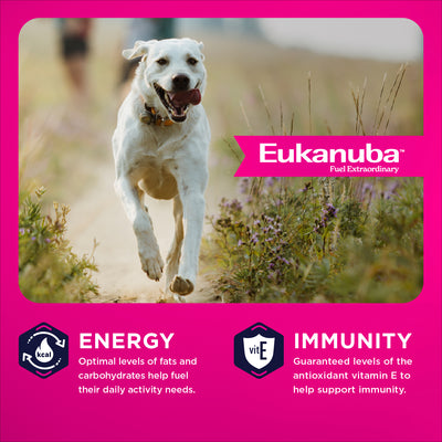 Eukanuba Nourriture pour chien adulte grande race