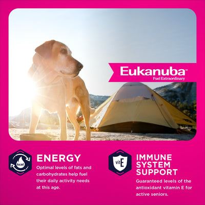 Eukanuba Dog Food Senior Large Breed