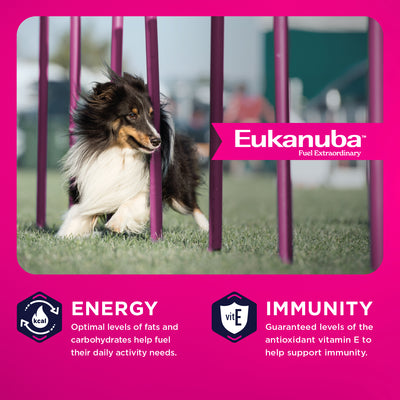 Eukanuba Dog Food Adult Lamb