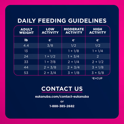 Eukanuba Dog Food Adult Lamb