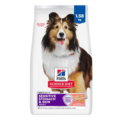 Hill's Science Diet Adult Sensitive Stomach & Skin Salmon Recipe Dry Dog Food