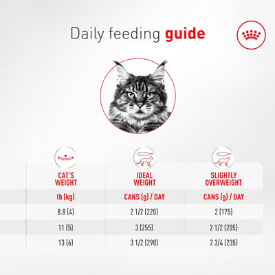 Daily feeding guide for cats with a black and white cat illustration and feeding weight chart.