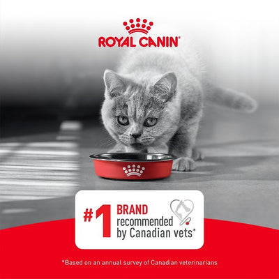 Royal Canin Feline Health Nutrition Aging 11+ Ultra Soft Mousse In Sauce Wet Canned Cat Food