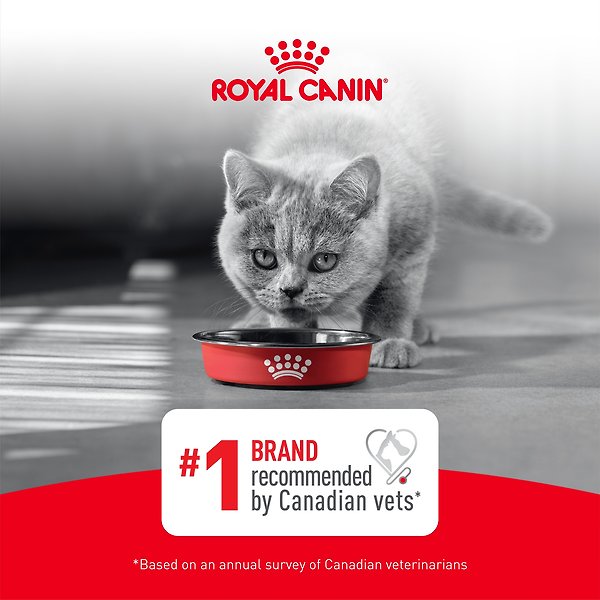Royal Canin Feline Health Nutrition Aging 11+ Ultra Soft Mousse In Sauce Wet Canned Cat Food
