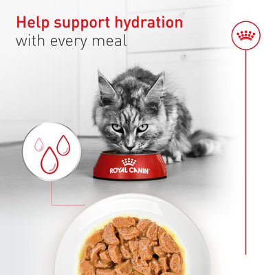 Cat drinking from a Royal Canin bowl with text about hydration support.