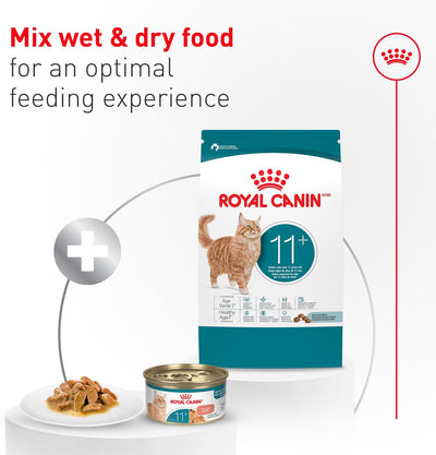 Royal Canin cat food package with wet food and a can on a white background