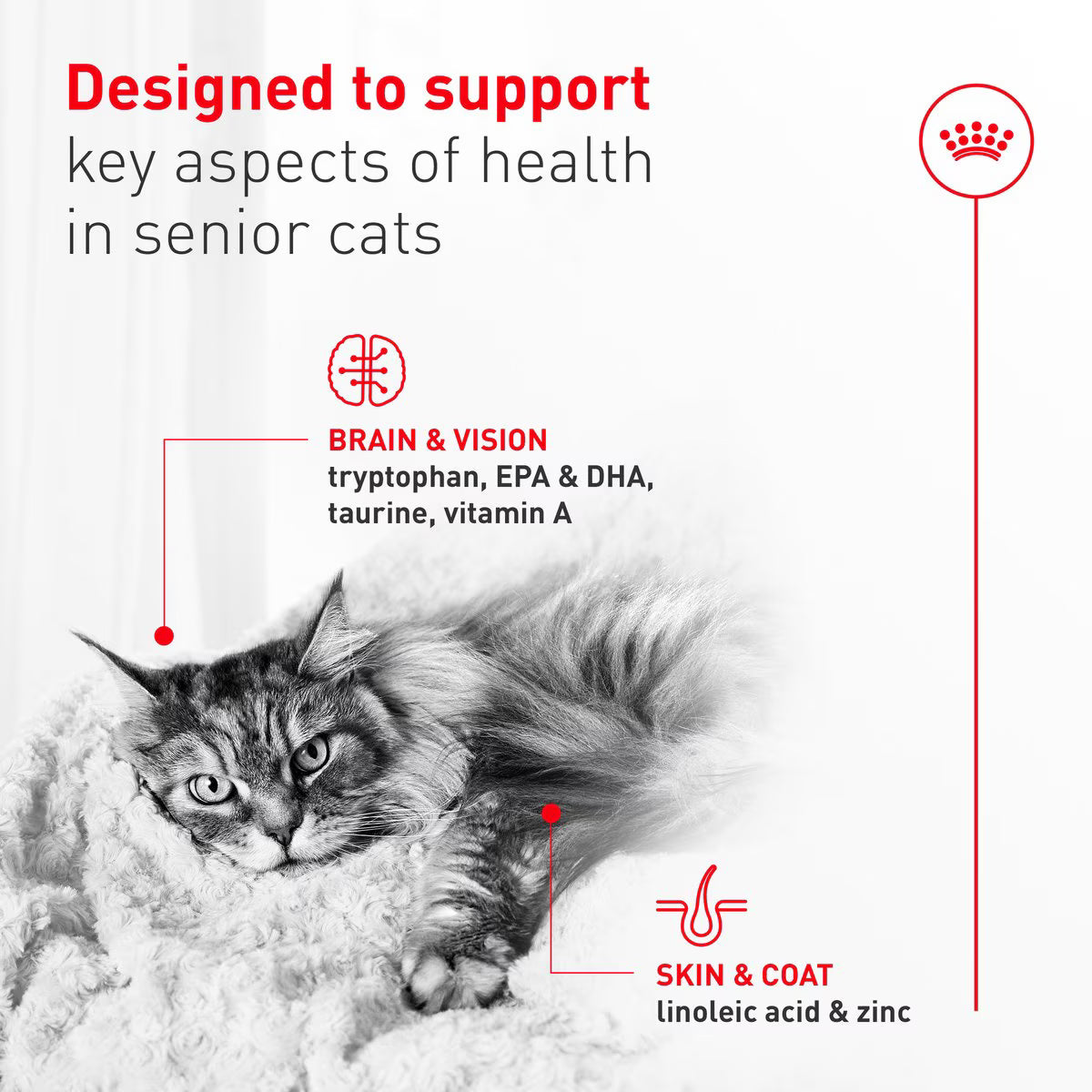 Advertisement for cat health supplement showing a cat and text about its benefits.