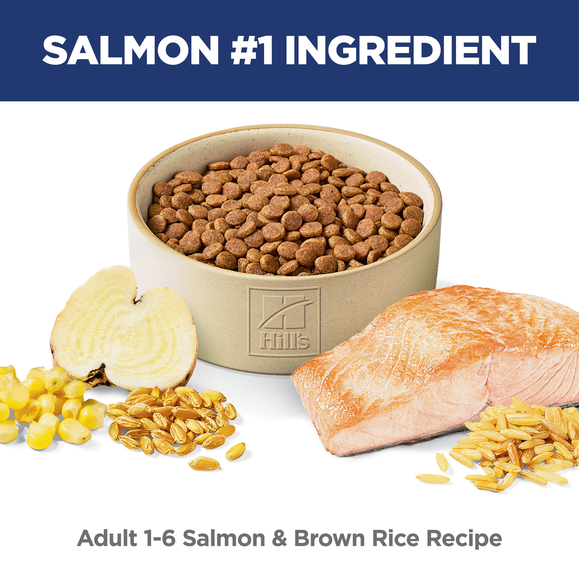 Hill's Science Diet Adult Salmon & Brown Rice Recipe Dry Cat Food - 1.58 Kg - Cat Food - Hill's Science Diet - PetMax Canada