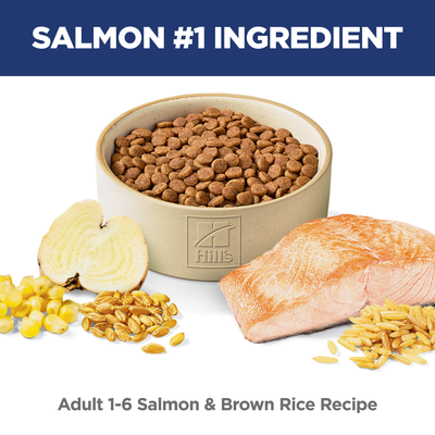 Hill's Science Diet Adult Salmon & Brown Rice Recipe Dry Cat Food - 1.58 Kg - Cat Food - Hill's Science Diet - PetMax Canada