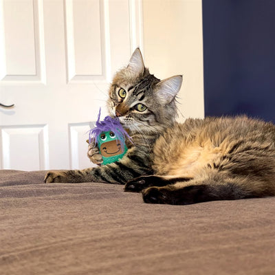 Kong Cat Scrattles Highland Cow Assorted