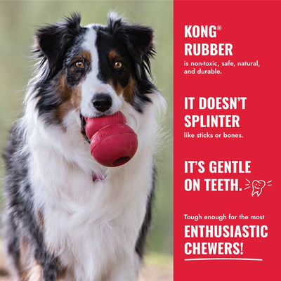 Kong Donut Dog Toy