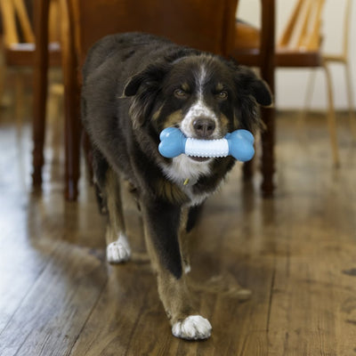 Kong Dental Duos Bone Dog Toy