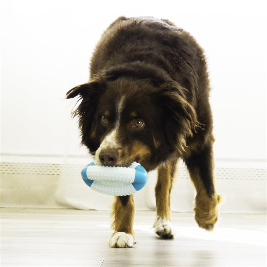 Kong Dental Duos Football Dog Toy