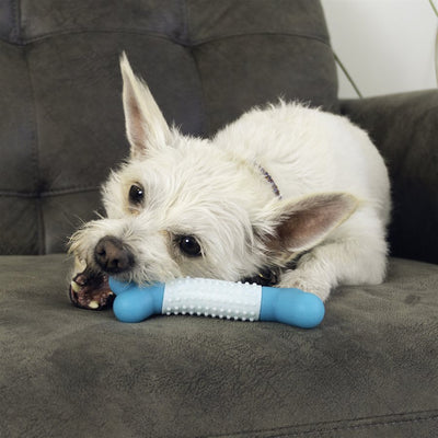 Kong Dental Duos Stick Dog Toy