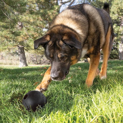 Kong Extreme Ball With Hole