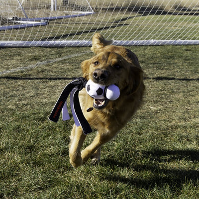 KONG Wubba Sport Soccer Ball Dog Toy