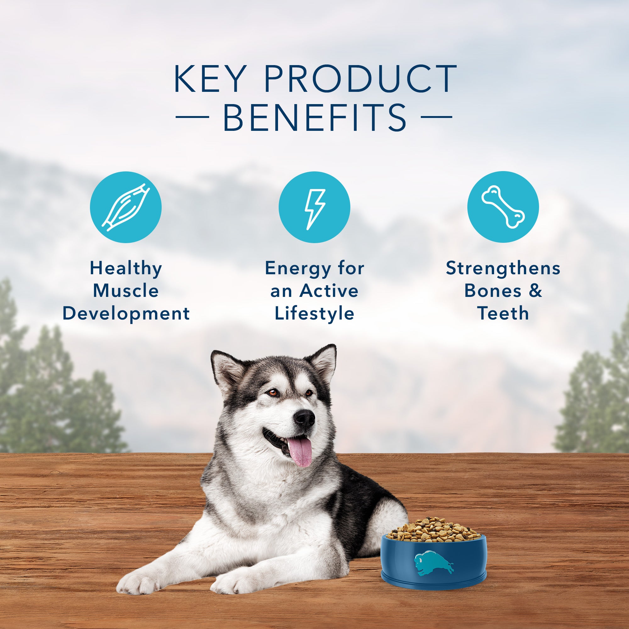 Blue Buffalo Wilderness Dog Food Salmon Formula - Image 6 - Blue Buffalo - PetMax Canada