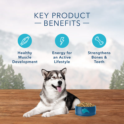 Blue Buffalo Wilderness Dog Food Salmon Formula - Image 6 - Blue Buffalo - PetMax Canada