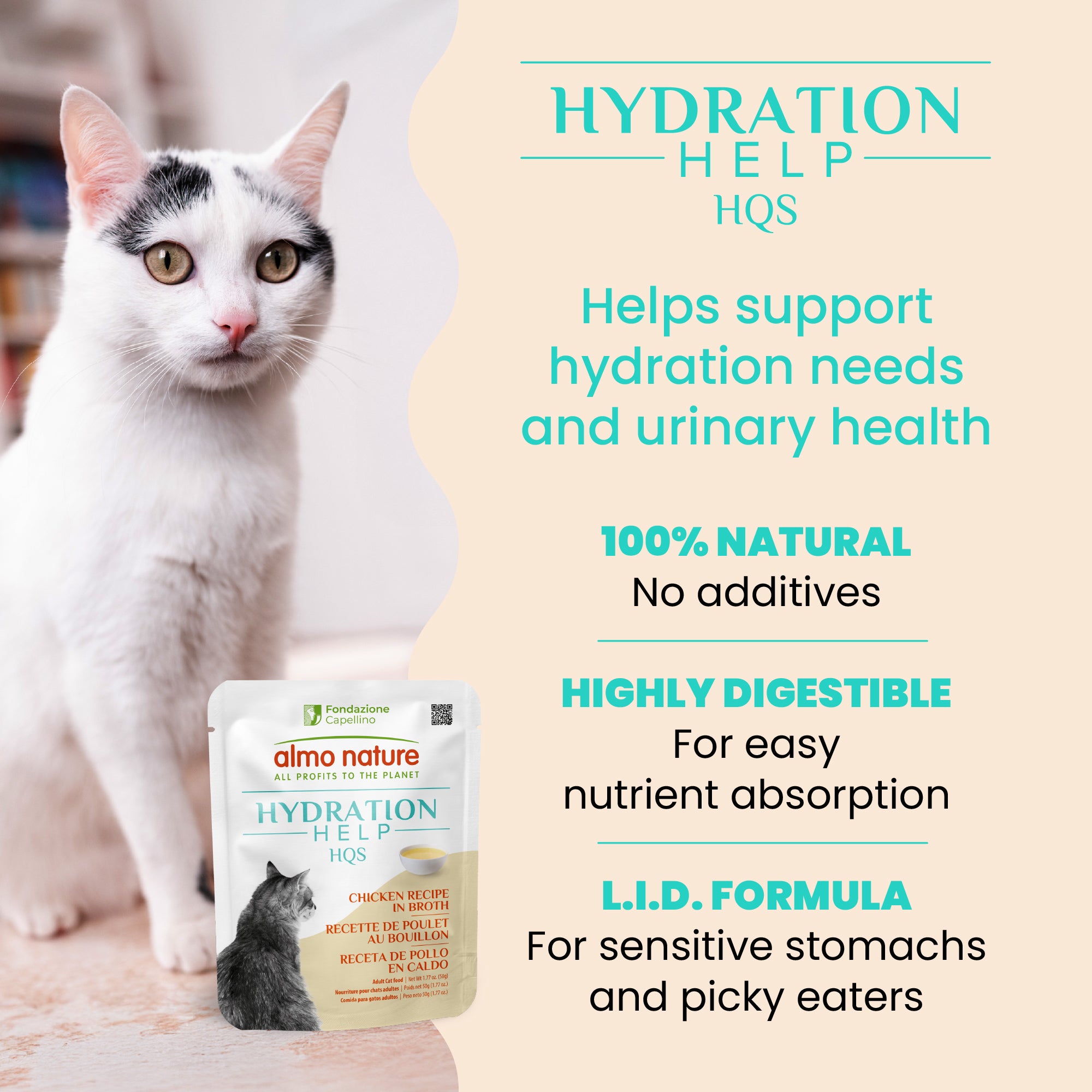 Almo Nature HQS Hydration Help Chicken Recipe in Broth for Cats