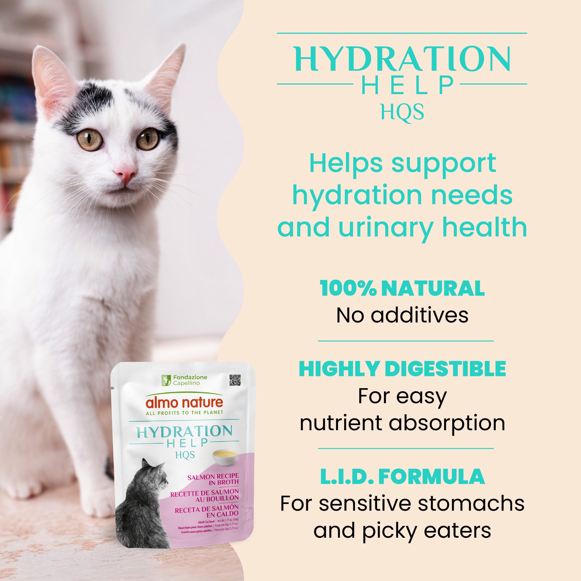 Almo Nature HQS Hydration Help Salmon Recipe in Broth for Cats